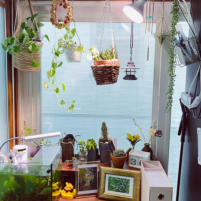mimichankさんの実例写真