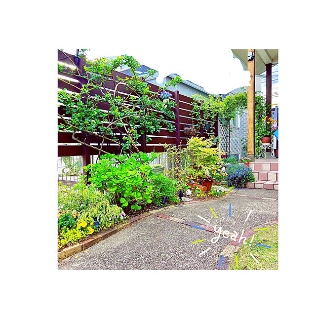 hinamamaさんの部屋