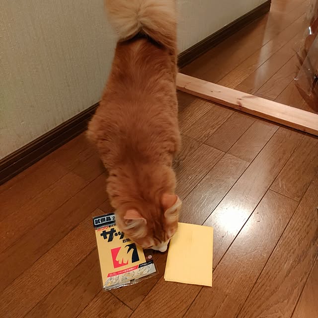 mori_6_12さんの実例写真