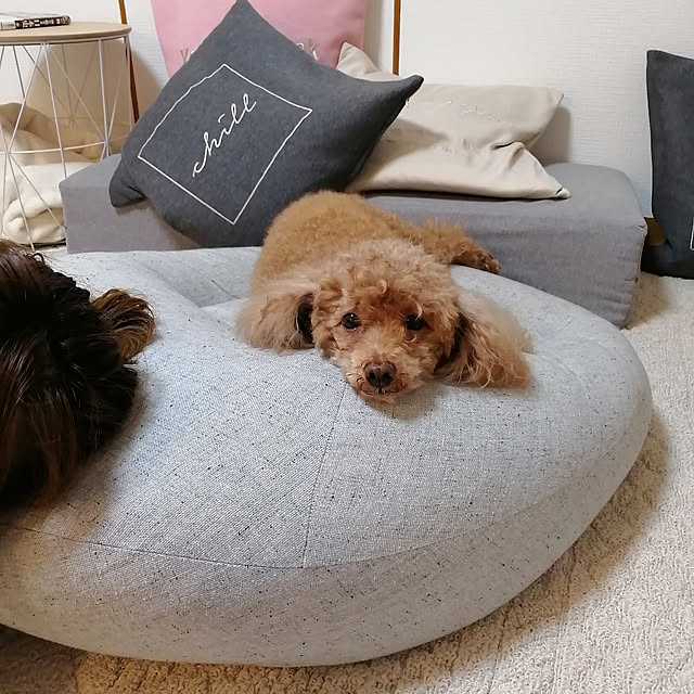 Miri.さんの実例写真