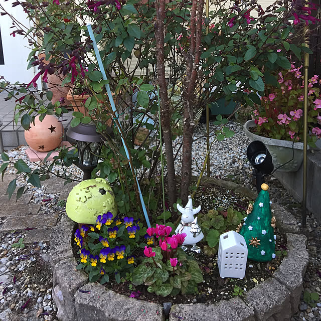 実例写真