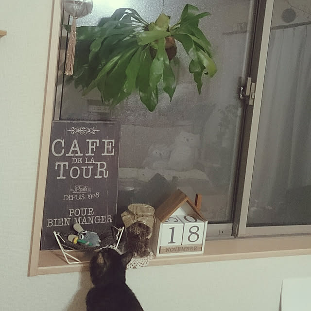 nanoさんの実例写真