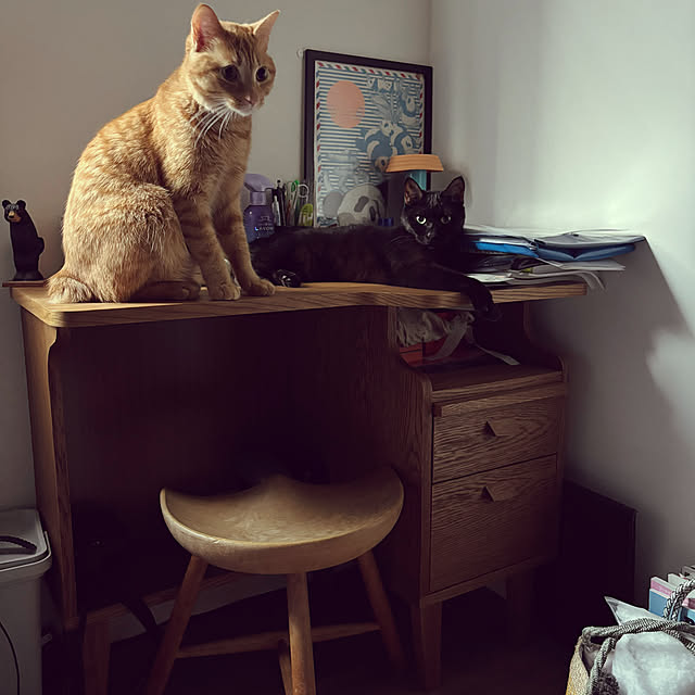 pachicoさんの実例写真