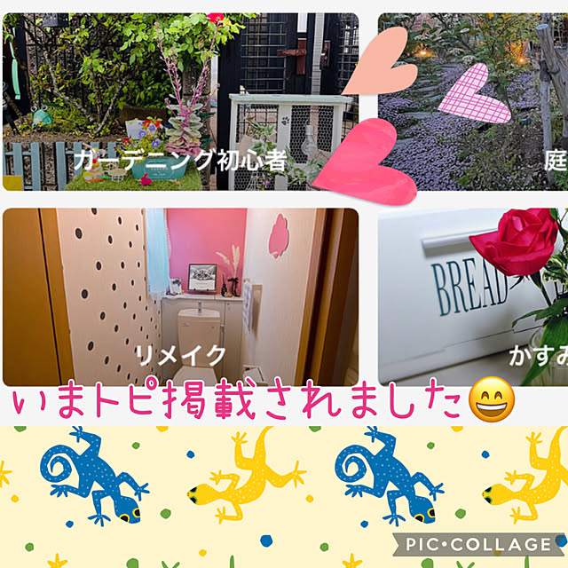 jijiさんの実例写真
