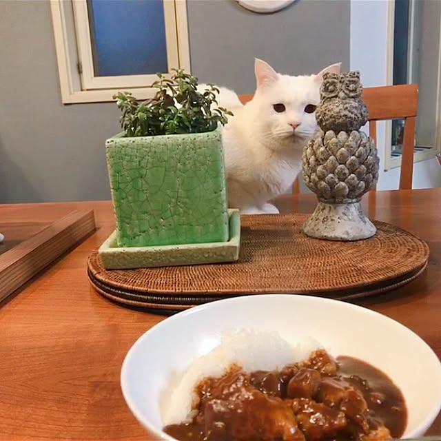 nyanko-beamさんの実例写真