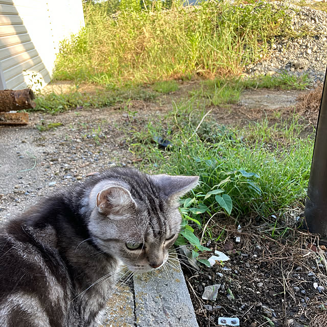 zabonzabonさんの実例写真