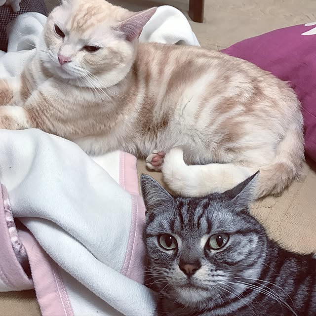 hiyupan88さんの実例写真