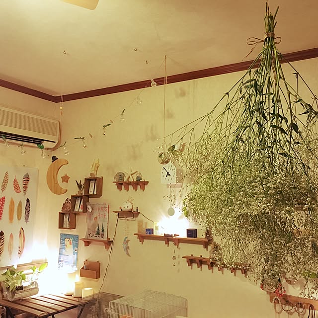 部屋全体/観葉植物/照明/ナチュラル/一人暮らし...などのインテリア実例 - 2016-12-10 22:50:17