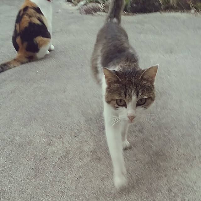 lemoned1126さんの実例写真