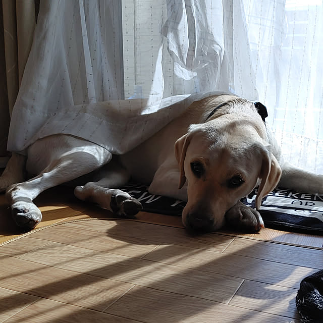 sakutarouさんの部屋