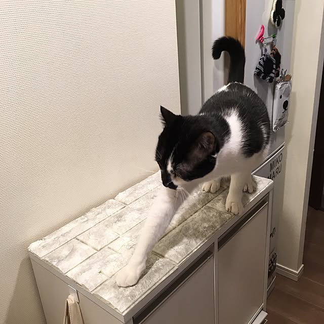 mikomaruさんの実例写真