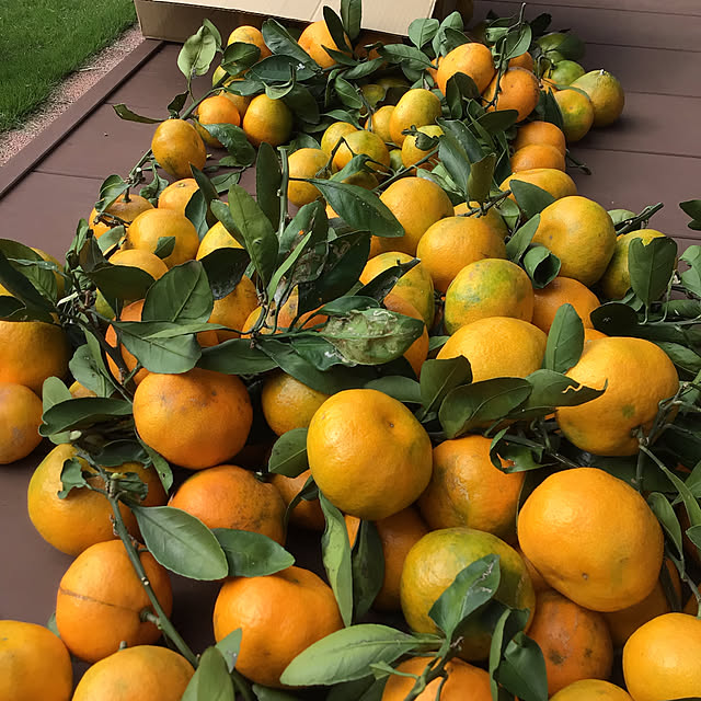 houenさんの部屋