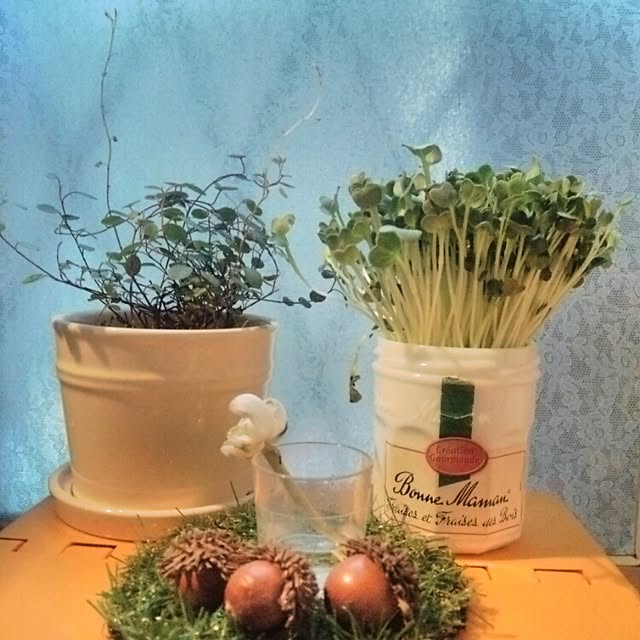 kaloさんの実例写真