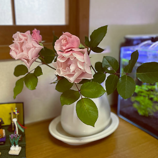 collonさんの実例写真