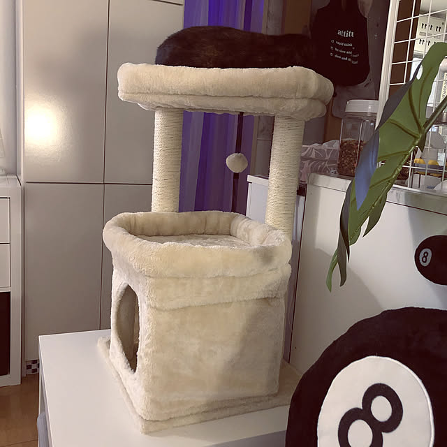 kanaさんの実例写真