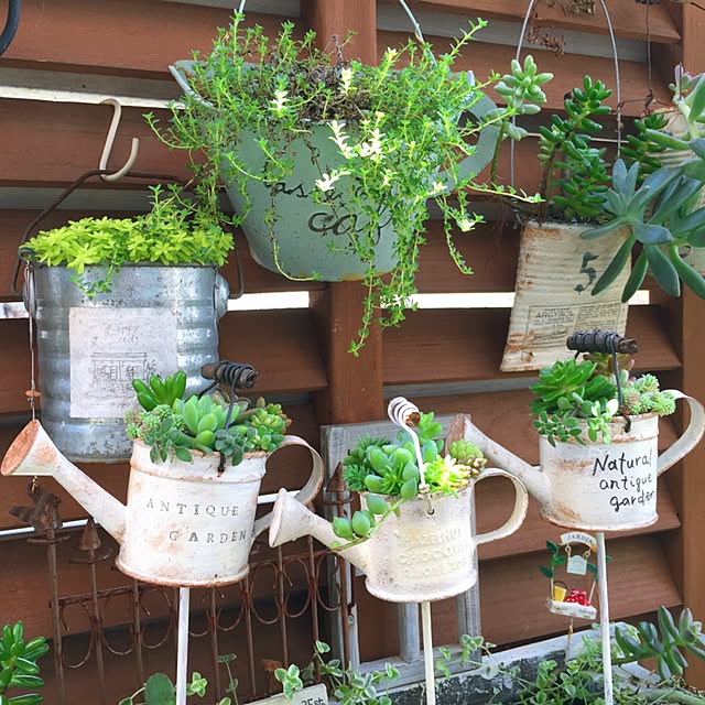 kurumichocoさんの実例写真