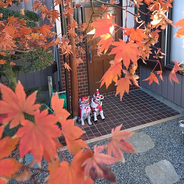 NOAHさんの部屋