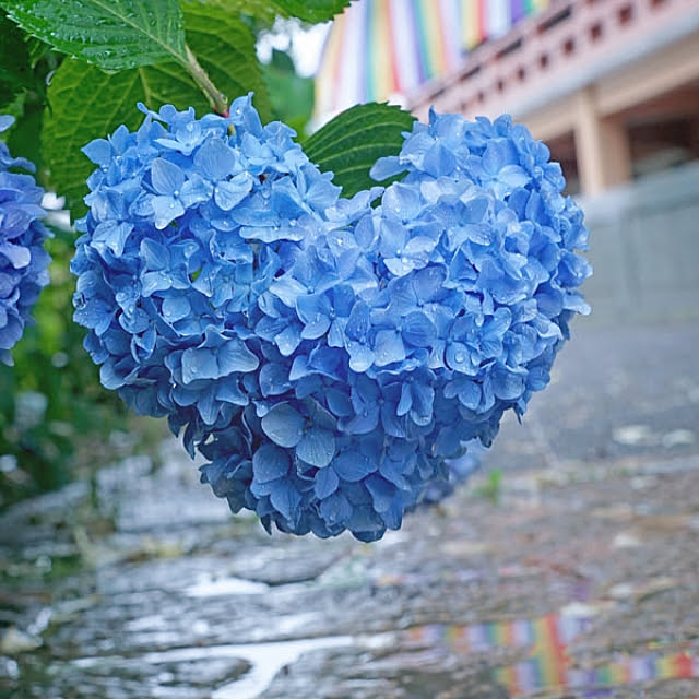 kouet3さんの実例写真