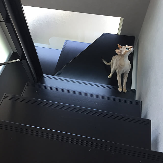Miinicoさんの実例写真