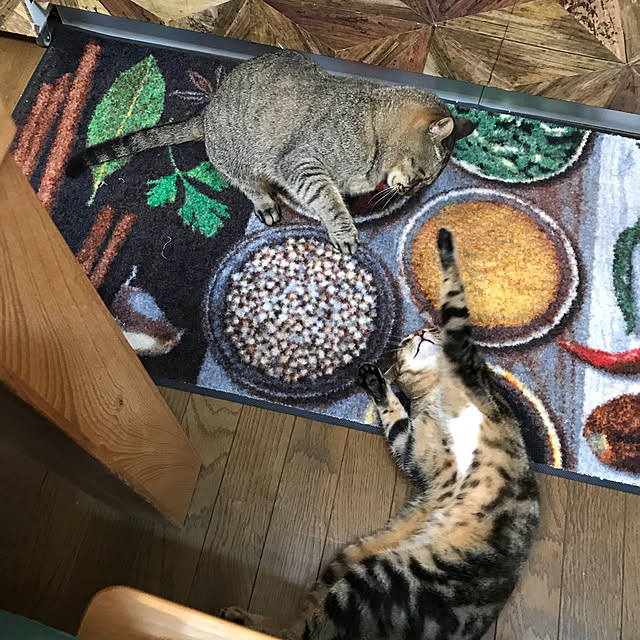 pepeさんの実例写真