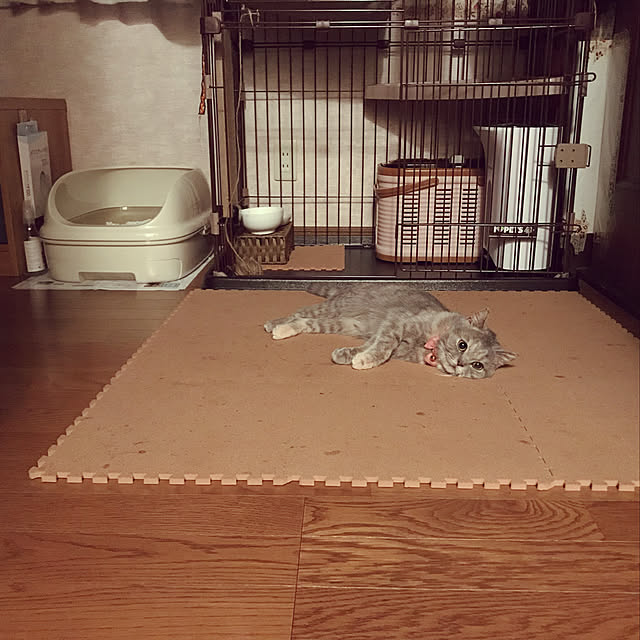 kamo.さんの実例写真