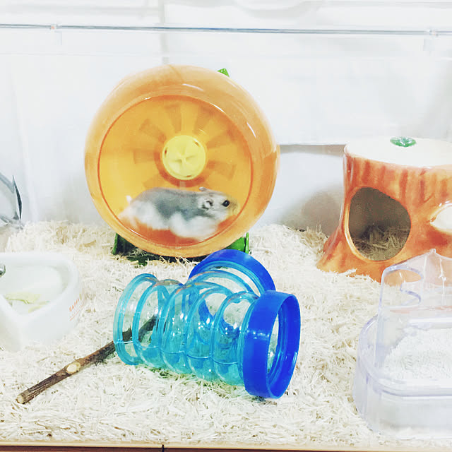 miomiokoさんの実例写真