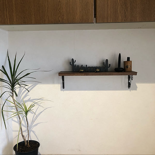 ウォールデコレーション/観葉植物/100均/ハンドメイド/DIY...などのインテリア実例 - 2021-02-09 11:37:08