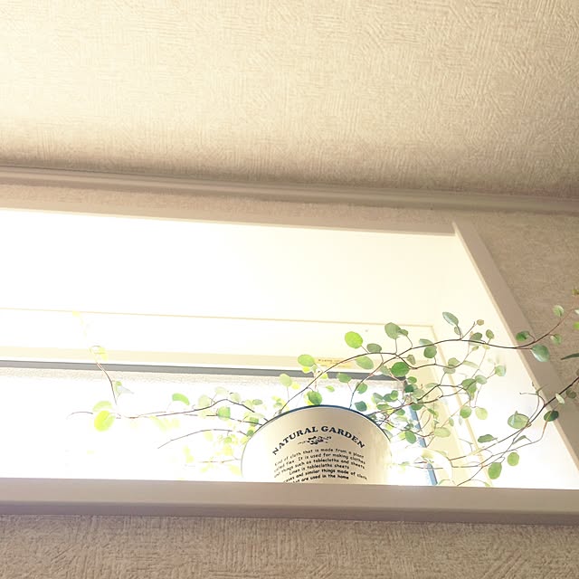 achuminさんの実例写真