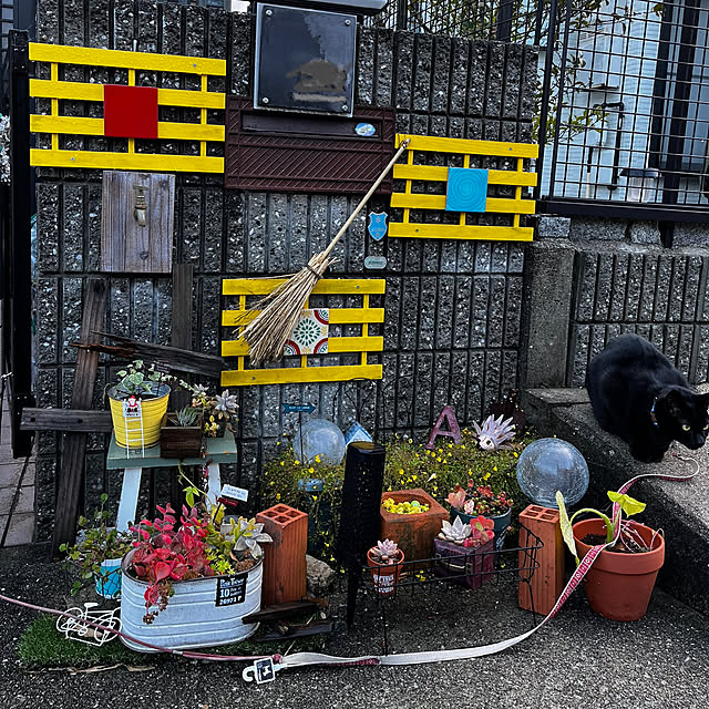 jijiさんの実例写真