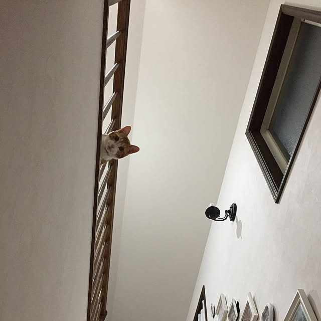 kimilkさんの実例写真