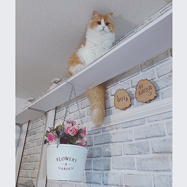 H.Tさんの実例写真