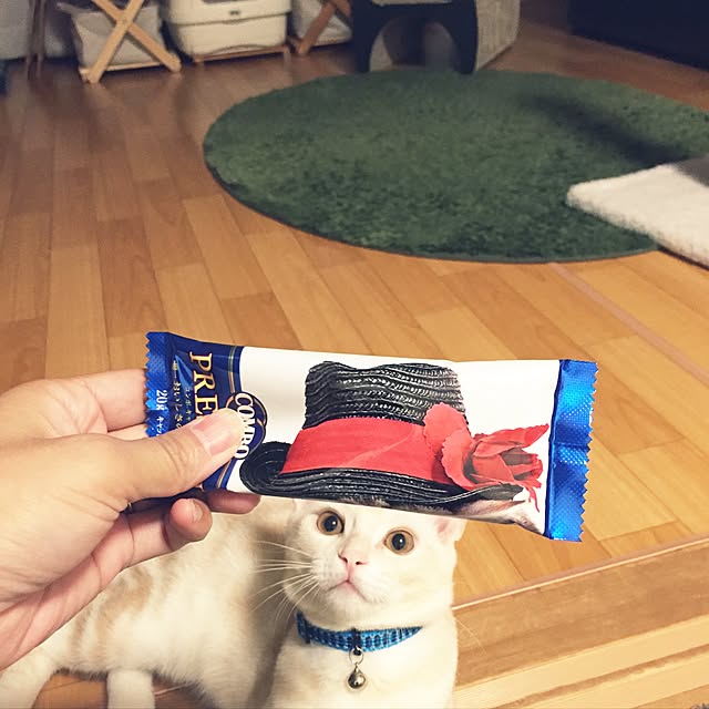 hiyupan88さんの実例写真