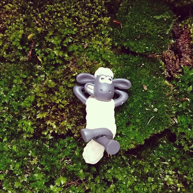 osotoさんの実例写真