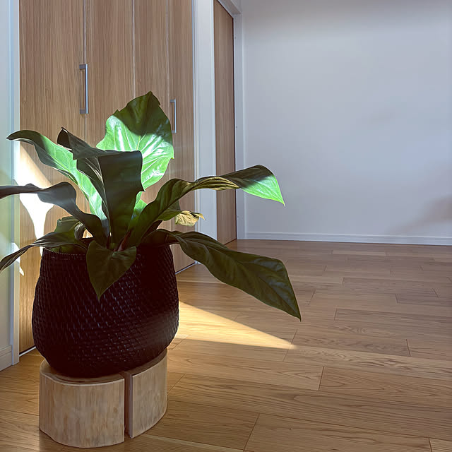 tokimaさんの実例写真