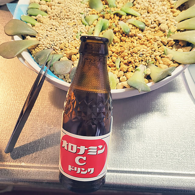 akimameさんの実例写真