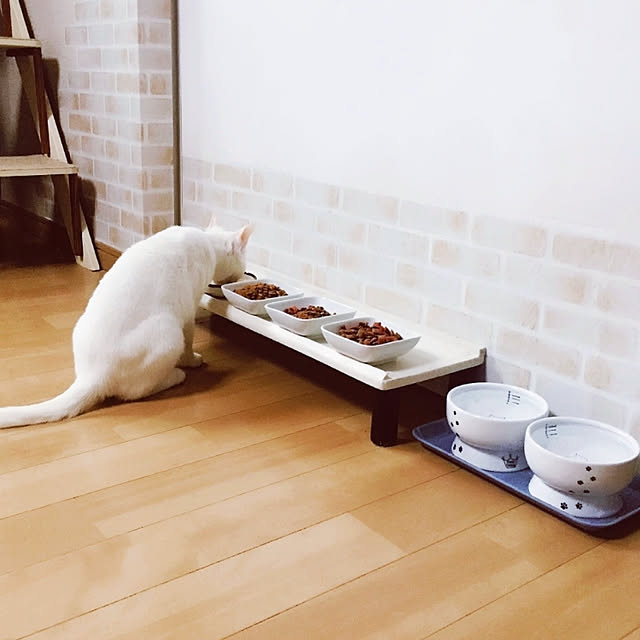 kirakirahikaruさんの実例写真