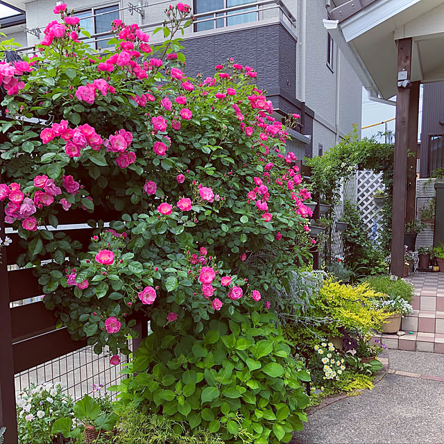 hinamamaさんの実例写真