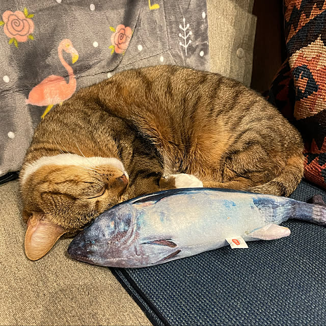 maruさんの実例写真