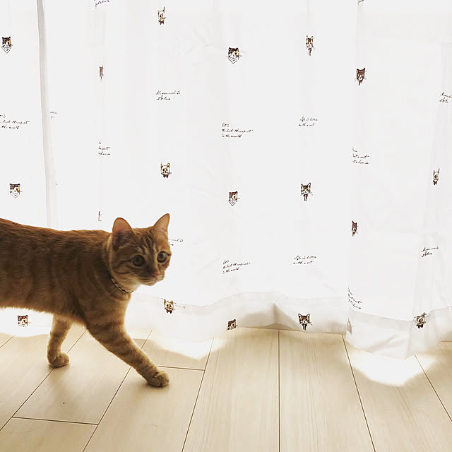 hanetanさんの実例写真