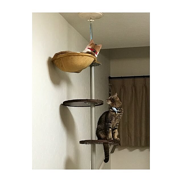 takkuさんの実例写真