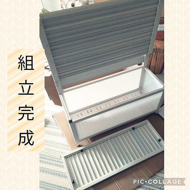 futukoさんの実例写真
