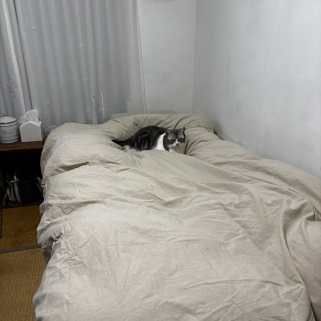 Atelier.mさんの部屋