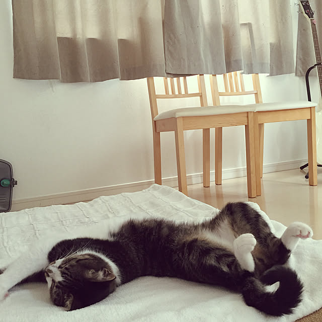 JUENさんの実例写真