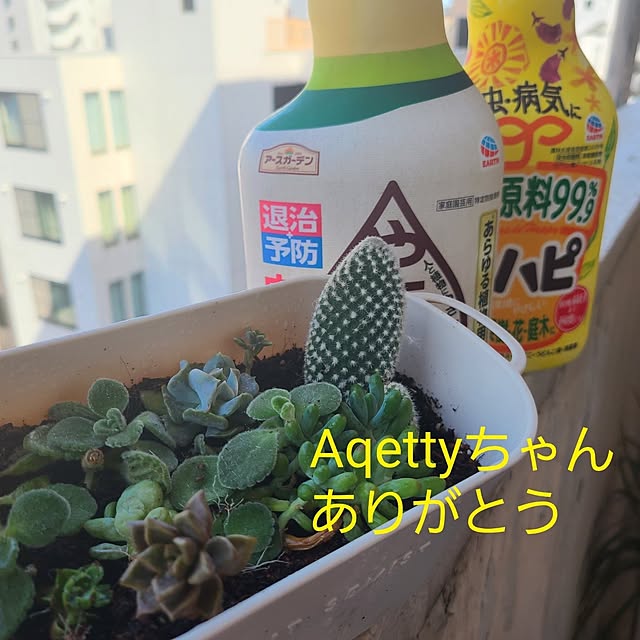 monnさんの実例写真