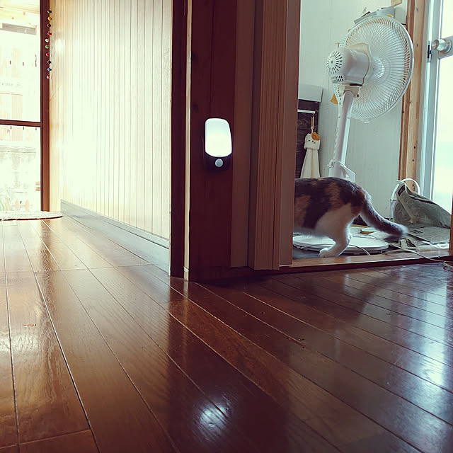 fukuさんの実例写真