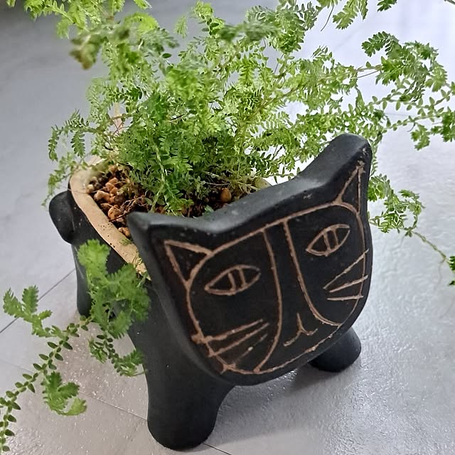 noaさんの部屋