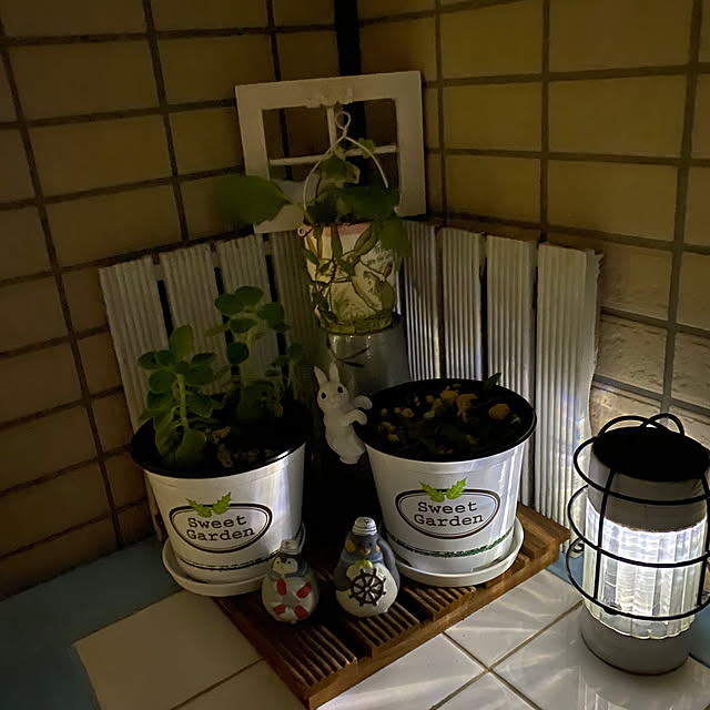 YuuKoさんの部屋