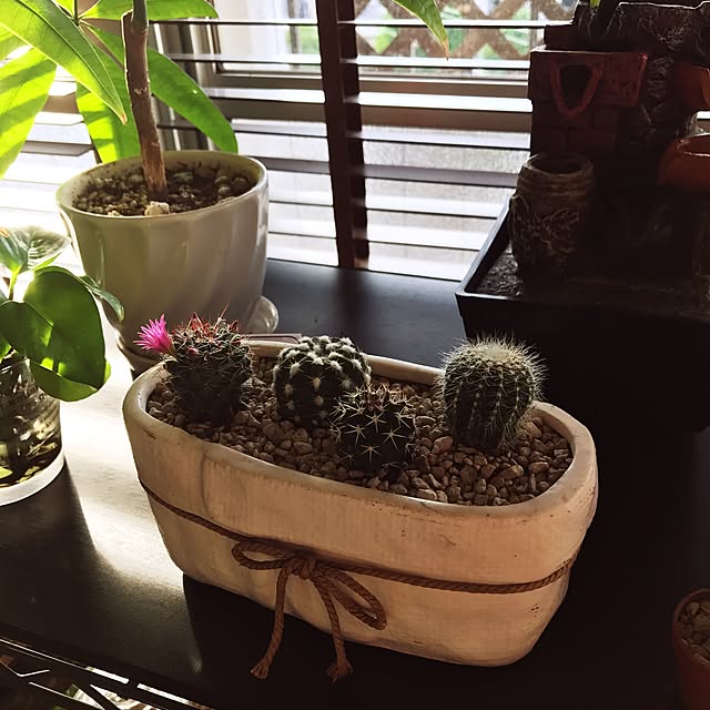 keiさんの実例写真