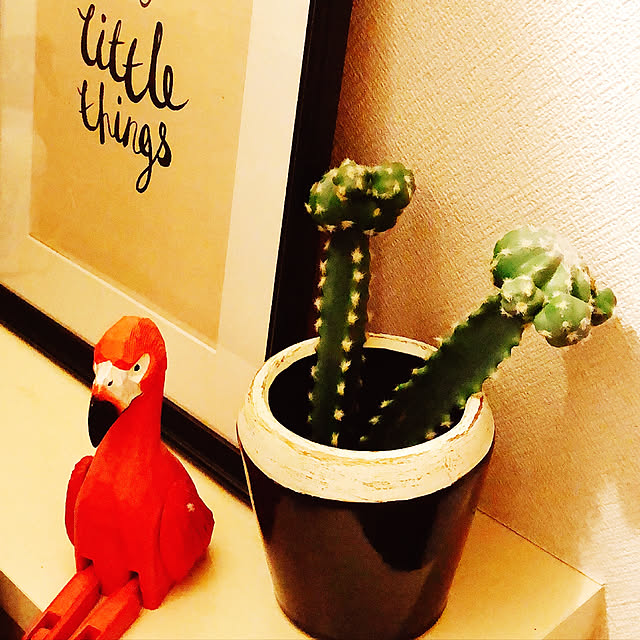 kanakoさんの実例写真