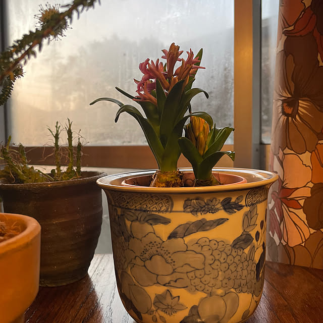 shin0719さんの部屋